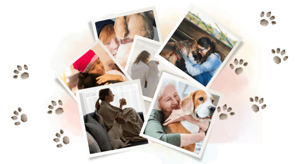 What is an Emotional Support Dog? - Service Dogs What is an Emotional Support Dog?