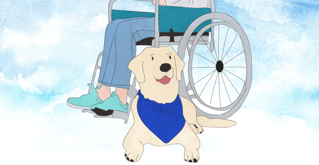 What is a Service Dog? - Service Dogs What is a Service Dog?