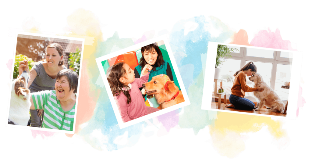 What is Animal Assisted Therapy (AAT)? - Service Dogs What is Animal Assisted Therapy (AAT)?