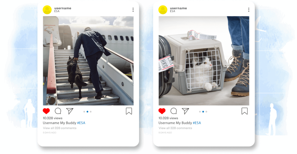 What is the Air Carrier Access Act?