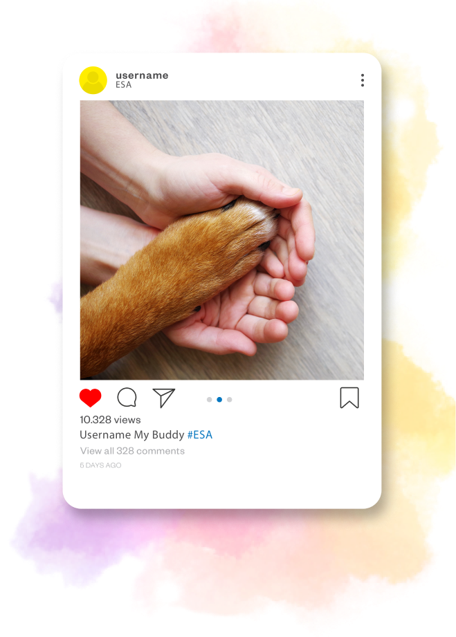 Emotional Support Dog Requirements - Service Dogs Emotional Support Dog Requirements