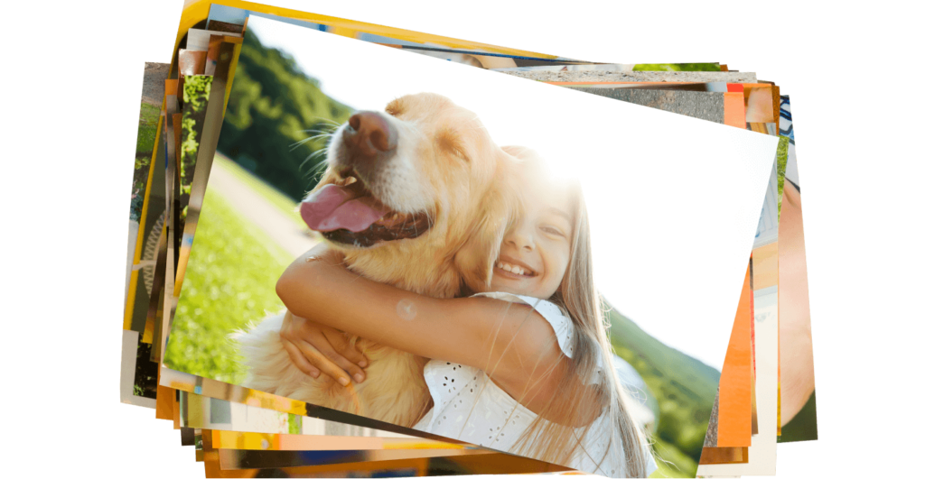 How to Get a Therapy Dog - Service Dogs How to Get a Therapy Dog